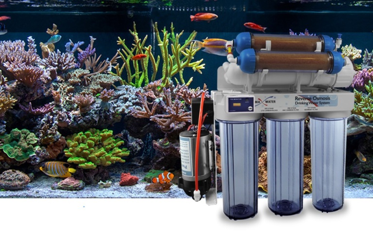 چرا استفاده از سیستم RO در آکواریوم ضروری است؟